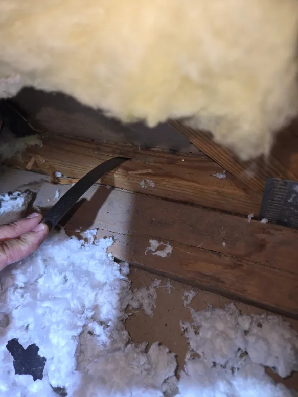 Probe test revealing hidden termite damage in framing