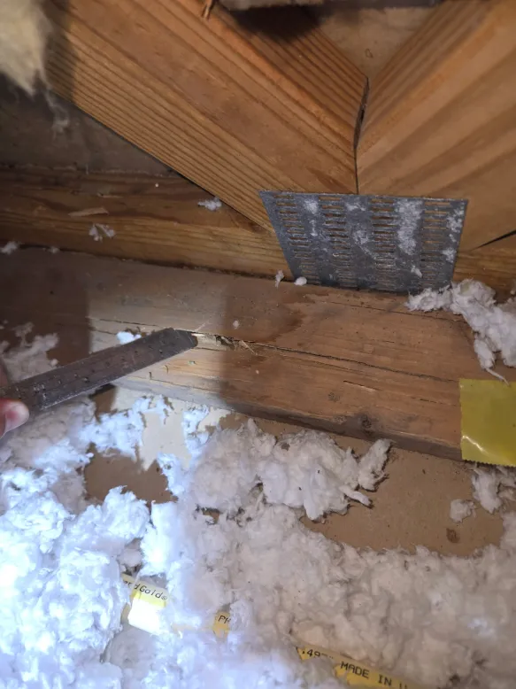 Inspector probing termite-damaged wood in attic